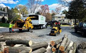 Best Seasonal Cleanup (Spring/Fall)  in Farrell, PA