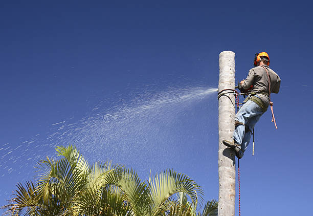 Best Lawn Watering Services  in Farrell, PA